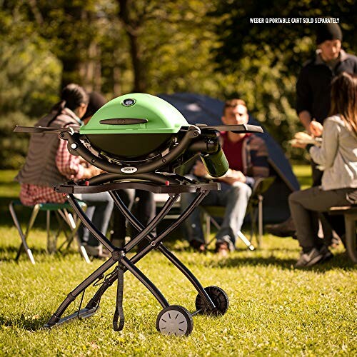 Weber Q1200 Portable Gas Grill